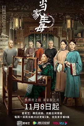 《当家主母》：深宅内斗下的女性觉醒，刺绣人生背后的爱恨纠葛！
