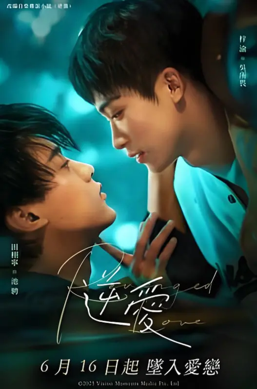 《逆爱》：跨越性别禁锢的真挚之恋，打破偏见，勇敢追逐心中的光芒